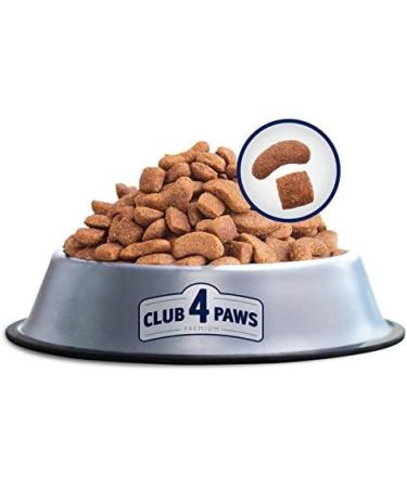 Dry food for dogs SYNTEZA Club4 2 kg ex Medium - Buy Online on GoSupps.com