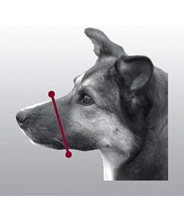 Trixie 19262 Black Dog Muzzle with Mesh Insert - Polyester S-M | 1 Piece for Comfortable & Safe Training - Buy Online on GoSupps.com