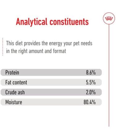 Royal Canin Mini Adult Wet Dog Food In Loaf Cans 12 x 195g - Buy Online on GoSupps.com