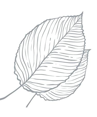 ARM & HAMMER Essentials Natural Deodorant Unscented 2.50 oz - Buy Pack of 9 for International Shipping - Buy Online on GoSupps.com