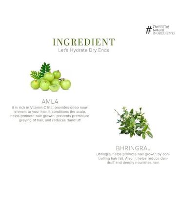 Amla & Bhringraj Hair Conditioner - Anti-Hair Fall Nourishing Paraben & Silicone-Free - 210ml for All Hair Types | Healthy Hair Solution - Buy Online on GoSupps.com