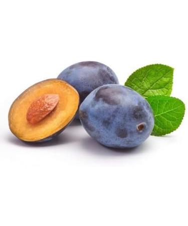 Gascony Plum - Organic Virgin Vegetable Oil - Glass Bottle - First Cold Pressed - 50ml - Buy Online on GoSupps.com