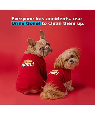 Urine Gone ProClean Stain Remover & Odor Eliminator - Probiotic Multi Surface Cleaner 20 Fl Oz (3 Pack) - Buy Online on GoSupps.com