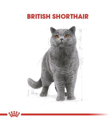 Royal Canin British Shorthair Adult Wet Cat Food Pouches 12 x 85g - Buy Online on GoSupps.com