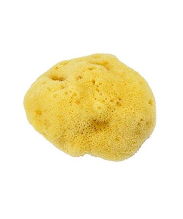 Fine-pored soft silk natural sponge bath sponge Kosmetex hygiene and watercolor sponge 10 cm