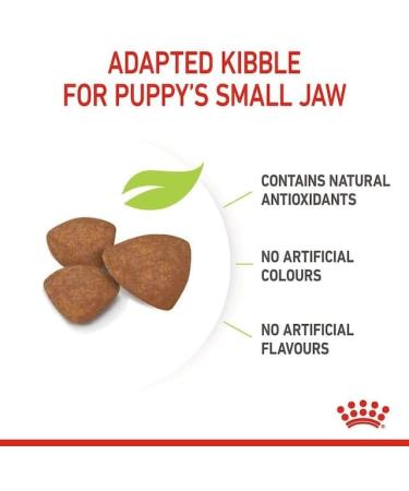 Royal Canin Mini Puppy Complete Dry Dog Food 2 x 800g - Buy Online on GoSupps.com