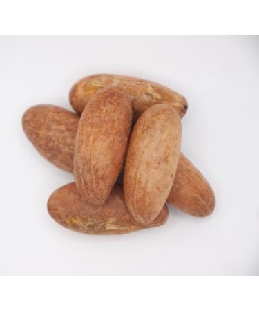 Buy Garcinia Kola Powder | 2 OZ Bitter Kola for Weight Loss & Health Benefits - International Shipping - Buy Online on GoSupps.com