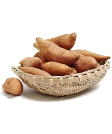 Organic Yacon Powder 200g - 100% Natural Sweetness | High-Fiber Sugar Alternative by InkaPura - Buy Online! - Buy Online on GoSupps.com