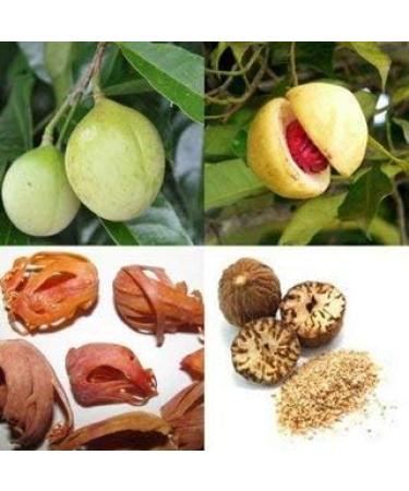 Nutmeg | Nutmegs Whole Dried Grade A Premium Quality 100g 100.0 grams - Buy Online on GoSupps.com