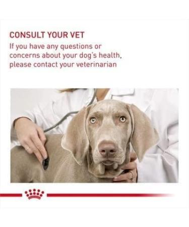 Royal Canin Digestive Care Adult Wet Dog Food 85g (Pack of 24) - Buy Online on GoSupps.com