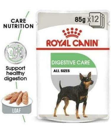 Royal Canin Digestive Care Adult Wet Dog Food 85g (Pack of 24) - Buy Online on GoSupps.com