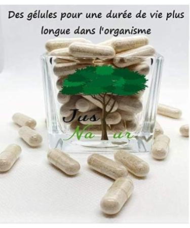 Just'Natur-Psyllium-Fibre Plus-Natural Ingredients-Superior Quality/90 Capsules for 3 Months of Consumption - Buy Online on GoSupps.com