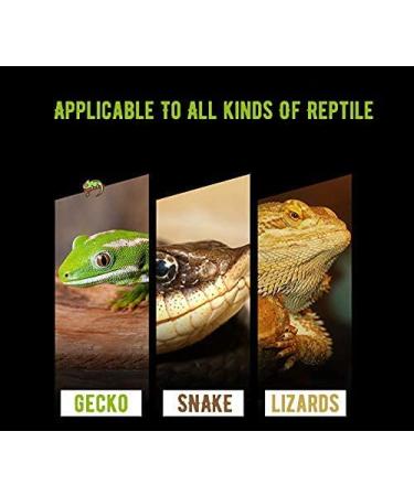 SOYEAHZ Reptile Egg Incubator - Ideal Hatchery Box for Gecko, Lizards & Lions Mane - Buy Online on GoSupps.com
