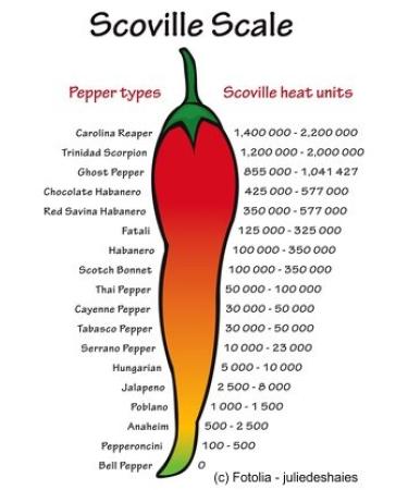 Buy Azafran Habanero Chili Powder - Hot & Spicy 100g | Premium Quality | International Shipping - Buy Online on GoSupps.com