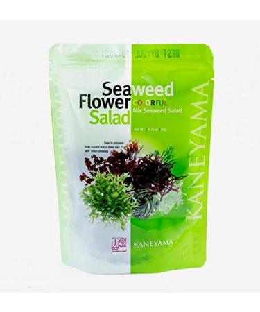 Kaneyama Seaweed Flower Salad 20g (Seaweed Flower Salad 20g 1 Pack)