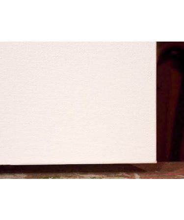 Inkjet Primed Gessoed Canvas Paper - 8.5 x 11 Inches - 20 Sheets | Printable - Buy Online on GoSupps.com