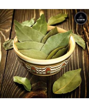 Naturevibe Botanicals Organic Bay Leaves 0.56oz - Gluten-Free, Non-GMO Indian Spice - Buy Online on GoSupps.com