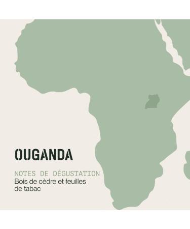 Incapto Dark Roast Coffee Beans - High Caffeine | Uganda Origin | 100% Robusta | Dark and Artisanal Roast | Bujanga Estate Victoria Lake | Very Strong Espresso | 500g Pack - Buy Online on GoSupps.com