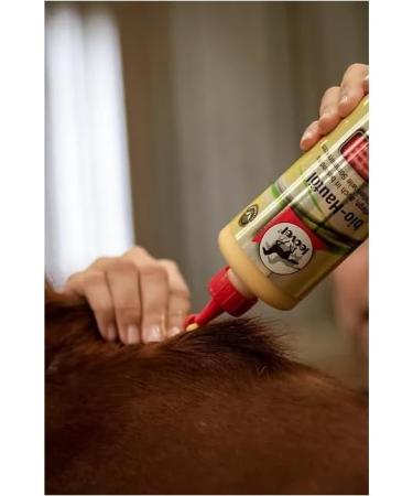 RL24 Leovet Organic Skin Oil for Horses | Itch Relief Summer Eczema & Dry Skin Care | Strengthening Skin Lotion with Organic Sulfur | 3 x 500 ml Set - Buy Online on GoSupps.com