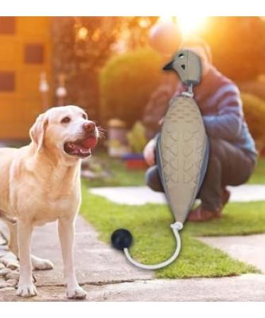 Hodeffior Bird Dummy Dog Training Sturdy Dog Retrieve Dummy Training Water Toys Gun Dog Training Dummy Float Fowl Toy Bird Gundog Training Dummies for Dogs (Puppy Medium Large) 25x7x6cm The Bird 25 X 7 X 6cm - Buy Online on GoSupps.com