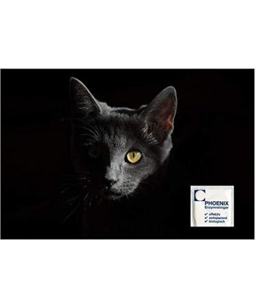Phoenix Enzyme Carpet Cleaner - 2 x 20g | Stain Remover for Carpets & Curtains - 2.0-3.0L Seal Bag - Buy Online on GoSupps.com