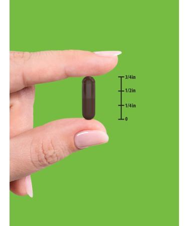 Nature's Truth Activated Charcoal Capsules | 90 Count | Non-GMO & Gluten Free - Buy Online on GoSupps.com