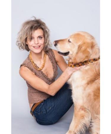 Buy 100% Baltic Amber Chain for Dog & Cat Tick Protection | Ilikeamber.com - Premium Amber Collars - Buy Online on GoSupps.com