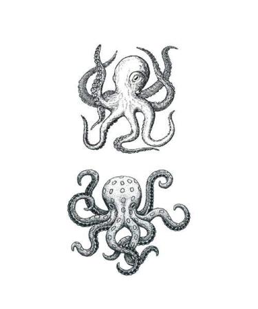 Kids Party Favor Waterproof Temporary Tattoo Sticker Set | Jellyfish Octopus Squid Cartoon Design | 10.5X6cm | Pack of 12 - Buy Online on GoSupps.com