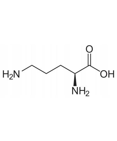 Amino Acid Ornithine (Ornithine Aminoacid) 100g
