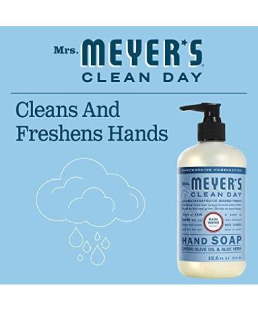 Mrs. MEYER'S Liquid Hand Soap Rainwater 12.5 Fl Oz (Pack of 4) Rainwater 50 Fl Oz (Pack of 1) - Buy Online on GoSupps.com