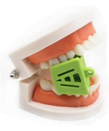 Casiler 3Pcs Occlusal Pad Teeth Prop | Rubber Opener Retractor Tools for Kids' Dental Care - Buy Online on GoSupps.com