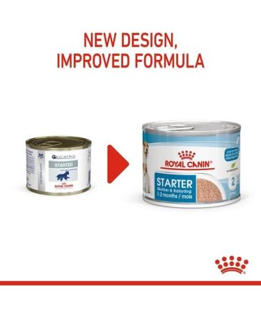Royal Canin Mini Starter Complete Wet Food for Mother & Babydog 12 x 195g - Buy Online on GoSupps.com