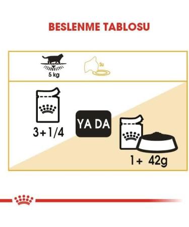 Royal Canin British Shorthair Adult Wet Cat Food Pouches 12 x 85g - Buy Online on GoSupps.com