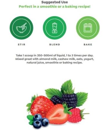 Raw Nutritional Vegan Pro Organic Plant Based Protein Powder | No Artificial Sweeteners | Non-GMO | Gluten-free | 20g Pea Protein Per Serving | 1LB (Very Berry) Very Berry 454.00 g (Pack of 1) - Buy Online on GoSupps.com