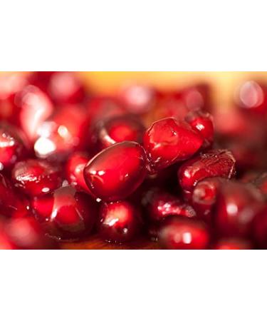 OPO Pomegranate Seed Oil - 1 oz Glass & Dropper - Pure Unrefined Cold Pressed Virgin Vegan Antioxidant Rich Carrier Oil for Skin Hair Face Body Cuticles Nails Organic Pure Oil - Buy Online on GoSupps.com