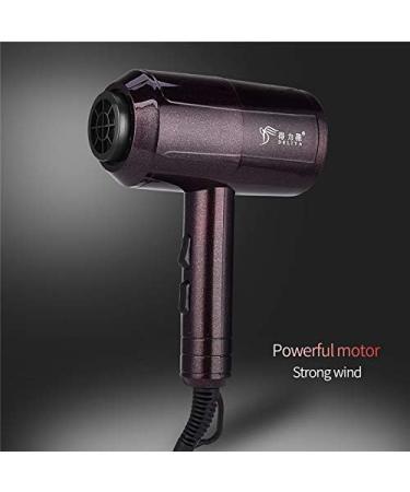 Blue Anion Electric Hair Dryers 2200W Professional Salon Blow Dryer Fan Portable Powerful Hair Blower Fast Hair Drying Machine - Buy Online on GoSupps.com