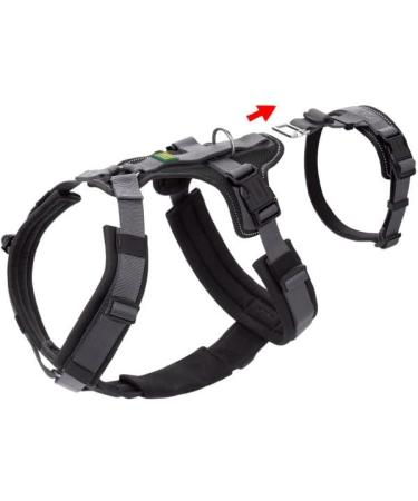 Safety Harness Maldon - Black/Grey XS | International Shipping Available - Buy Online on GoSupps.com