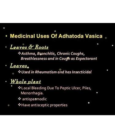 Neotea Adhatoda or Vasa Powder (Adhatoda Vasica) 300g - Buy Online on GoSupps.com