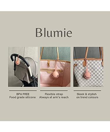 Blumie Silicone Travel Case for Pacifiers Stylish Stone Grey Storage Box for Baby Essentials | Shop Internationally - Buy Online on GoSupps.com