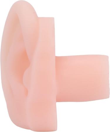 HEEPDD Long-term Right Ear Model for Acupuncture Training & Display - Flexible Human Ear Model for Headset Earrings & Safety Equipment - Buy Online on GoSupps.com