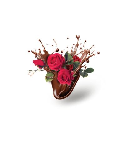 Dulcinea153 Luxury Chocolate Rose Moisturizing Lip Balm 100% Natural 0.15 oz - Buy Online on GoSupps.com