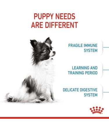 Royal Canin X-Small Puppy | Pack of 4 | 4 x 500 g | Dry food for puppies of very small breeds | May contribute to the normal functioning of the immune system | with omega-3 - Buy Online on GoSupps.com