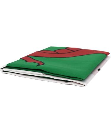 Shachi Great Wales Flag - Welsh Dragon 3ft x 2ft | Polyester Tissue with Brass s for FIFA World Cup Football Rugby & Sports - Buy Online on GoSupps.com