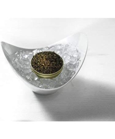 Sepehr Dad Caviar Beluga Russian Style | Sturgeon Eggs | CN Breeding | 250g - Buy Online on GoSupps.com