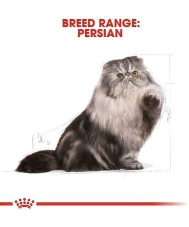 Royal Canin Persian Adult Dry Cat Food 2kg - Buy Online on GoSupps.com