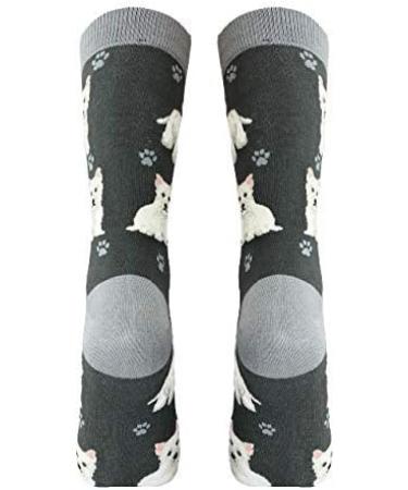 E&S Imports Pet Lover Socks - One Size Fits Most - Cat and Dog Design Gifts for Women and Men - Buy Online on GoSupps.com