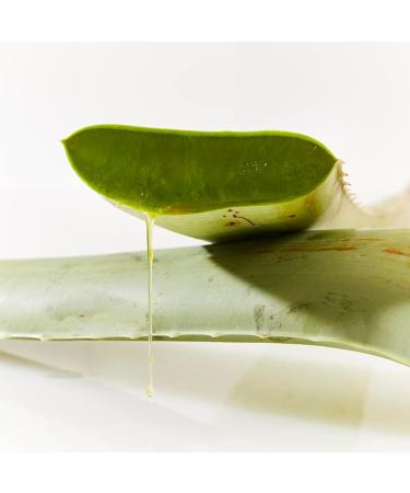 Ultimate Aloe Strawberry Kiwi Flavor Source of Soluble and Insoluble Fibre Natural Source of Vitamins Minerals and other Healthy Nutrients Contains Natural Aloe Vera Leaf and Active Aloe Market America (16 Servings) - Buy Online on GoSupps.com