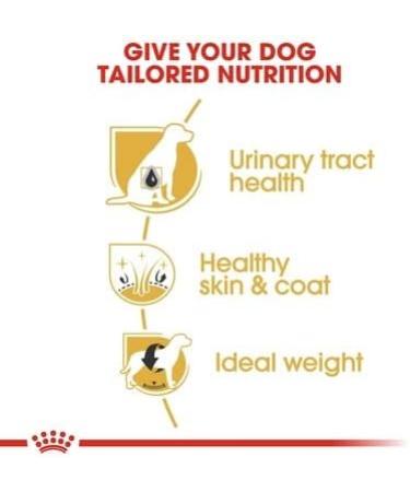 Royal Canin Bichon Frise Adult Dry Dog Food 1.5kg (Pack of 2) Poultry 3 kg (Pack of 1) - Buy Online on GoSupps.com