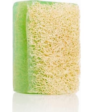 Buy Natural Handmade Aloe Vera Soap Bar with Pumpkin Fiber - 120g | Nourishing Anti-Aging Oil Balance Vitamins C & E | Treat Dryness Blackheads & Acne - International Shipping Available - Buy Online on GoSupps.com