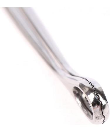 Buy Stainless Steel Pin Sponge Tonnini M dici - 25cm Oval D cor Clip for International Shipping - Buy Online on GoSupps.com